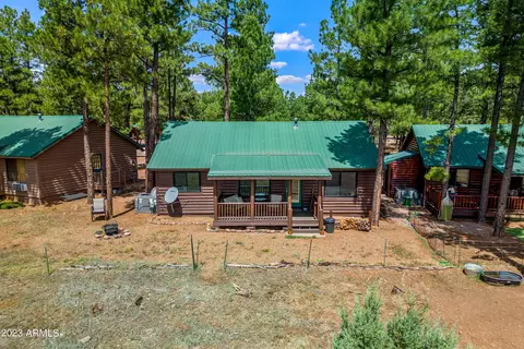 2725 High Pine Loop, Overgaard, AZ 85933 photo 28