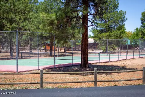 2725 High Pine Loop, Overgaard, AZ 85933 photo 44