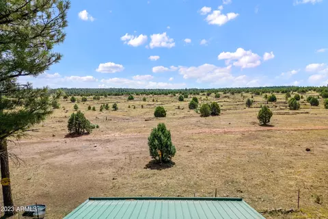 2725 High Pine Loop, Overgaard, AZ 85933 photo 30