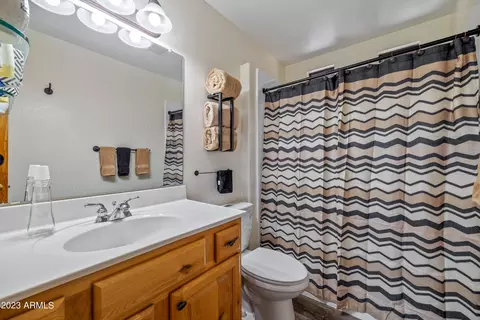 2725 High Pine Loop, Overgaard, AZ 85933 photo 17