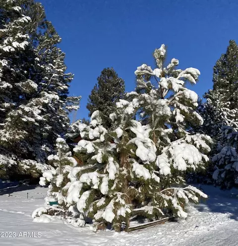 2725 High Pine Loop, Overgaard, AZ 85933 photo 32