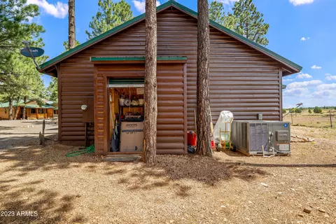 2725 High Pine Loop, Overgaard, AZ 85933 photo 26