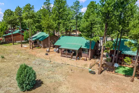 2725 High Pine Loop, Overgaard, AZ 85933 photo 29