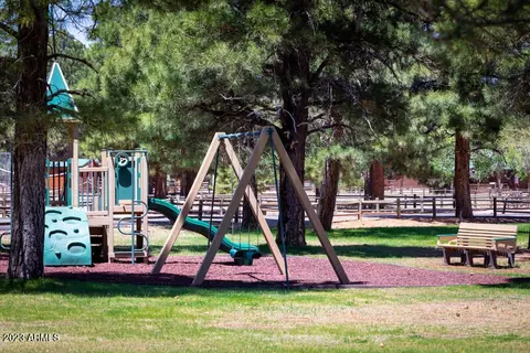 2725 High Pine Loop, Overgaard, AZ 85933 photo 42