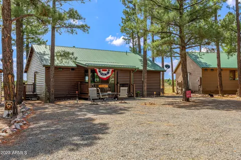 2725 High Pine Loop, Overgaard, AZ 85933 photo 3