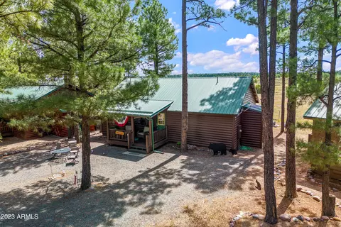 2725 High Pine Loop, Overgaard, AZ 85933