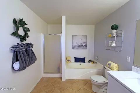 11437 E Quicksilver Ave, Mesa, AZ 85212 photo 25