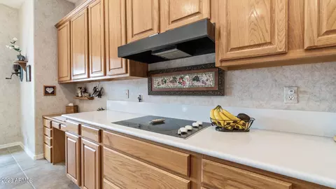 2951 E Hope St, Mesa, AZ 85213 photo 21