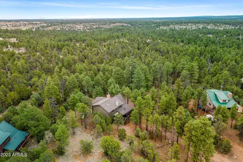 2403 Sprig Ln, Overgaard, AZ 85933 photo 40