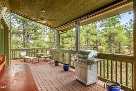 2403 Sprig Ln, Overgaard, AZ 85933 photo 6