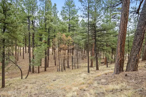4631 N Creekside Ln #-, Flagstaff, AZ 86001
