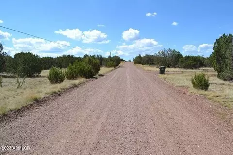 tbd Supancheck -- #019H, White Mountain Lake, AZ 85912