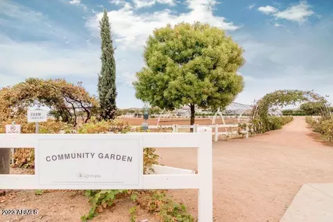 3119 E Camellia Dr, Gilbert, AZ 85296 photo 47