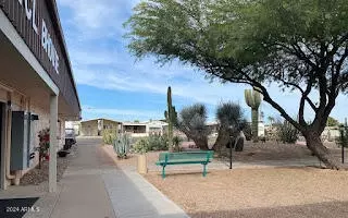 407 E Cholla Ln, Florence, AZ 85132 photo 51