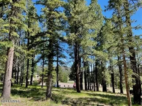 2 N 1102 -- #012, Greer, AZ 85927