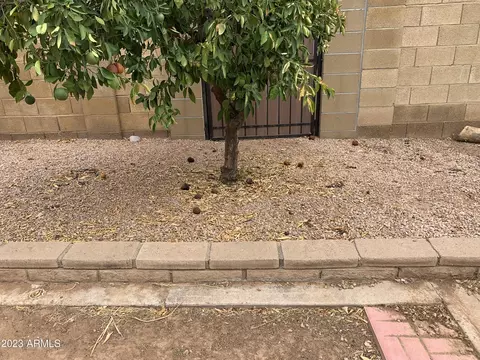 1451 E Garnet Ave, Mesa, AZ 85204 photo 25