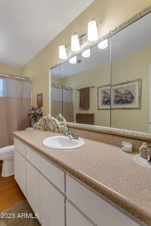 6043 Ellis St, Mesa, AZ 85205 photo 27