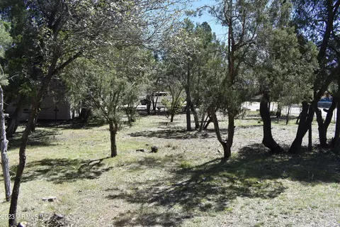 908 E Wagon Wheel Cir #47, Payson, AZ 85541 photo 3