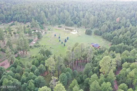 2688 Summer Loop, Forest Lakes, AZ 85931 photo 34