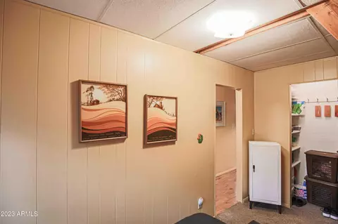 2688 Summer Loop, Forest Lakes, AZ 85931 photo 19