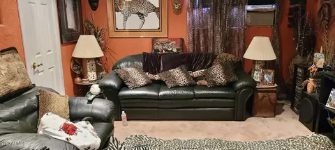 3320 E Hillery Dr, Phoenix, AZ 85032 photo 17