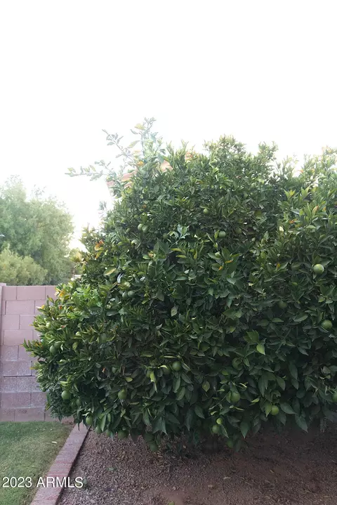 2857 E Fox St, Mesa, AZ 85213 photo 37