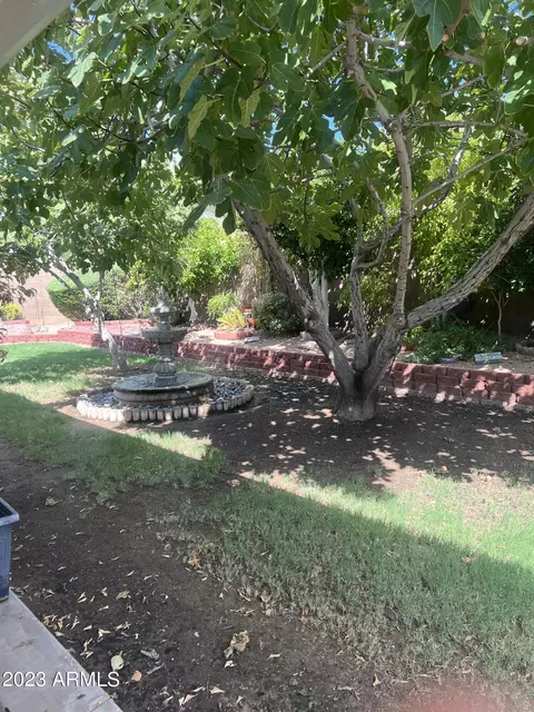 1292 W 15th Ln, Apache Junction, AZ 85120 photo 29