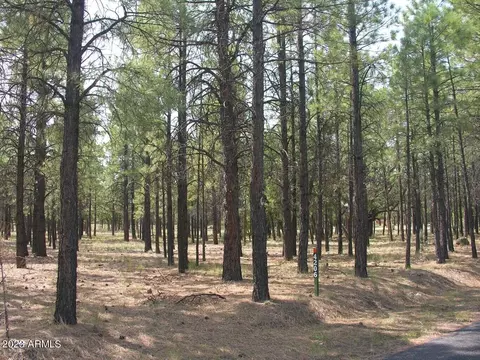 4206 Timberline Dr #004, Happy Jack, AZ 86024