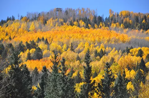 26 County Road N1332 -- #38, Greer, AZ 85927