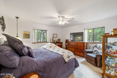 2862 Cedar Rdg, Overgaard, AZ 85933 photo 15