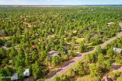 2862 Cedar Rdg, Overgaard, AZ 85933 photo 36
