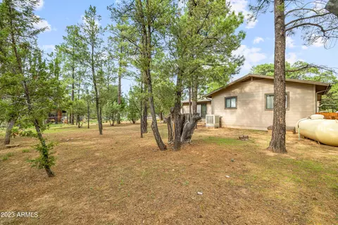 2862 Cedar Rdg, Overgaard, AZ 85933 photo 26