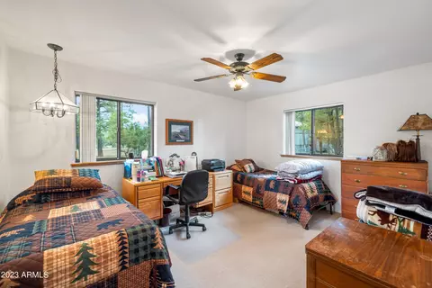 2862 Cedar Rdg, Overgaard, AZ 85933 photo 20