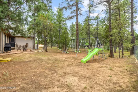 2862 Cedar Rdg, Overgaard, AZ 85933 photo 30