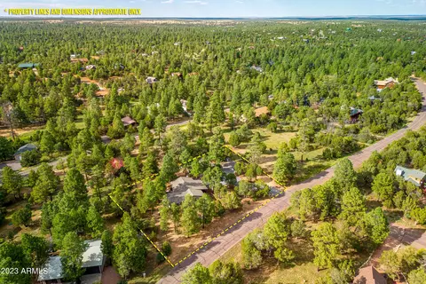 2862 Cedar Rdg, Overgaard, AZ 85933 photo 35