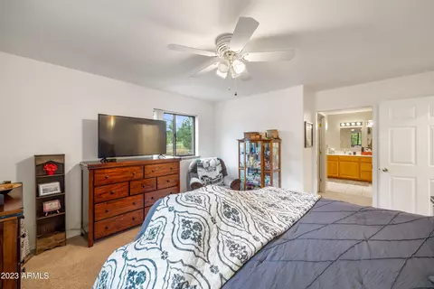 2862 Cedar Rdg, Overgaard, AZ 85933 photo 16