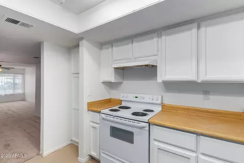 1927 E Hampton Ave #135, Mesa, AZ 85204 photo 10