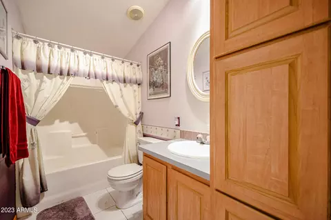 2937 E Sequoia Dr, Phoenix, AZ 85050 photo 18