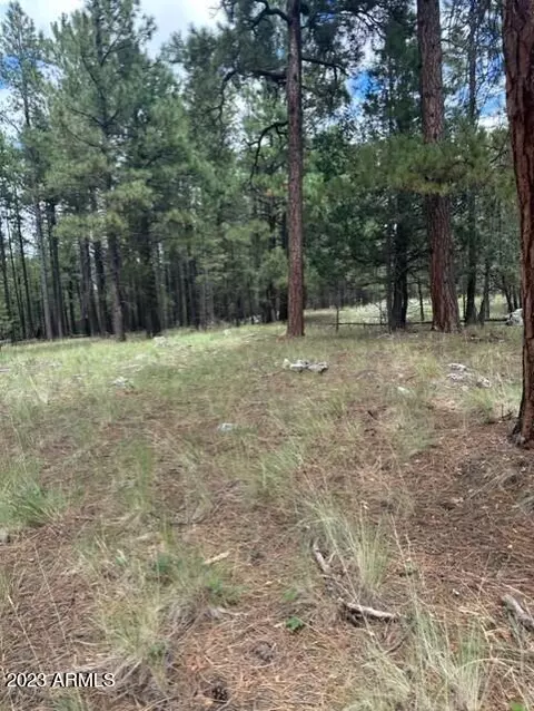 00 Coconino Forest Road 137a -- #0, Happy Jack, AZ 86024