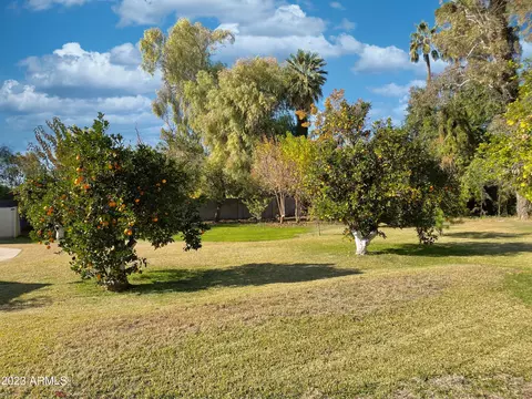 326 E Orangewood Ave, Phoenix, AZ 85020 photo 57