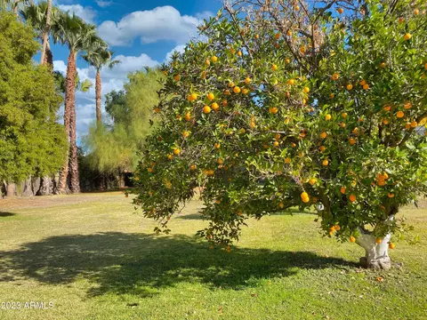 326 E Orangewood Ave, Phoenix, AZ 85020 photo 55