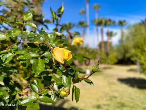 326 E Orangewood Ave, Phoenix, AZ 85020 photo 53