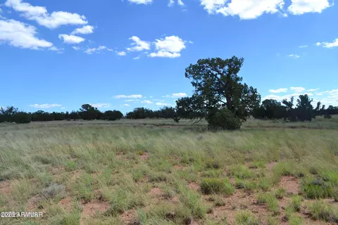 tbd N9160 -- #001S, Concho, AZ 85924