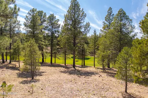 2961 S Solitaires Canyon Dr #342, Flagstaff, AZ 86005