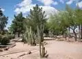 5764 E Montara Pl, Mesa, AZ 85215 photo 44