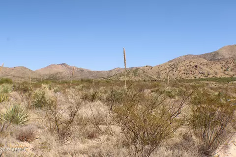 lot212 E Diamondback Rd #212, Saint David, AZ 85630