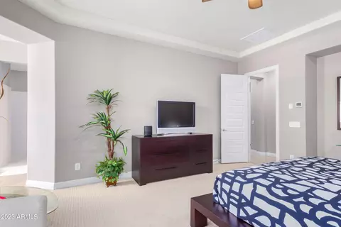 10638 Evergreen St, Mesa, AZ 85207 photo 44