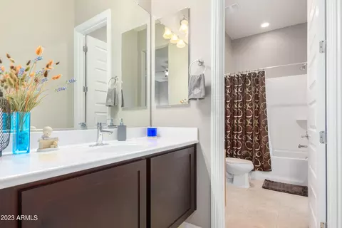 10638 Evergreen St, Mesa, AZ 85207 photo 56