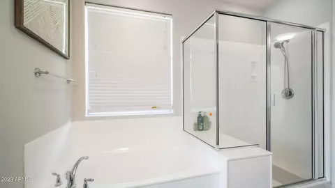 10445 E Sheffield Dr, Mesa, AZ 85212 photo 19
