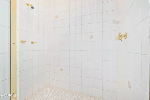 546 E Park Ave, Gilbert, AZ 85234 photo 39